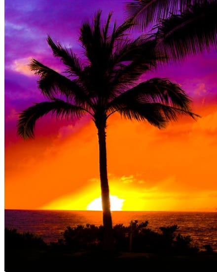 hawaiian-trinity-reiki